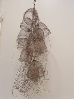 20220328_111458.jpg