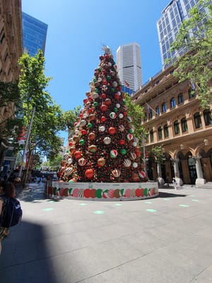 20201208_113053.jpg