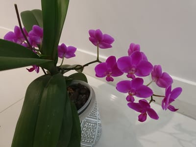 20220324_230041.jpg