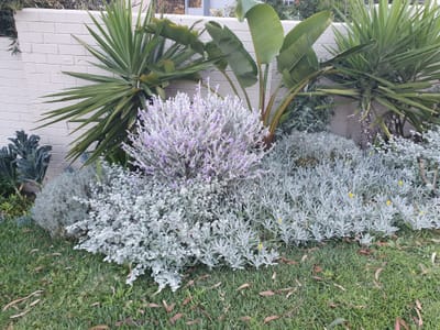 20200922_170717.jpg