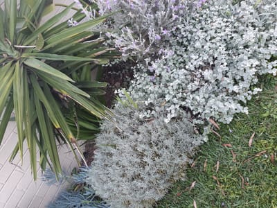 20200922_170723.jpg