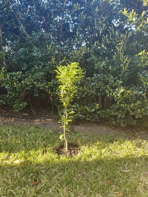 20200925_071414.jpg