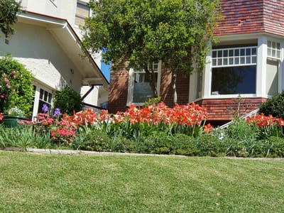 20201002_101340.jpg