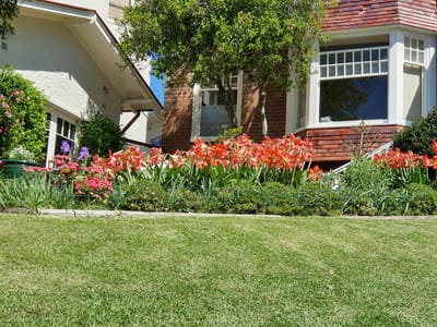 20201002_101342.jpg