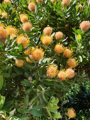 20201002_101740.jpg