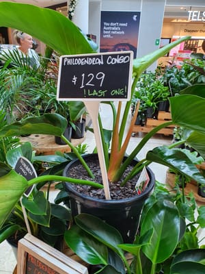 20201113_104813.jpg