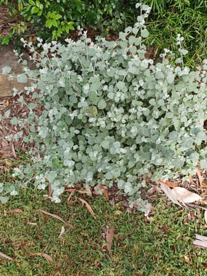 20201213_085706.jpg