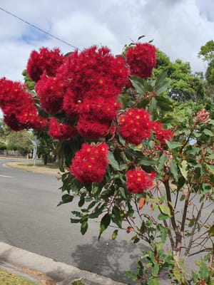 20201213_091141.jpg