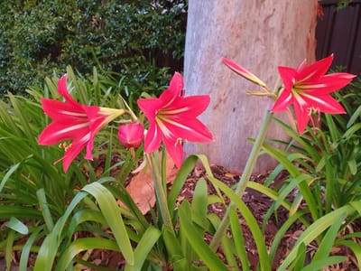 20210930_173842.jpg