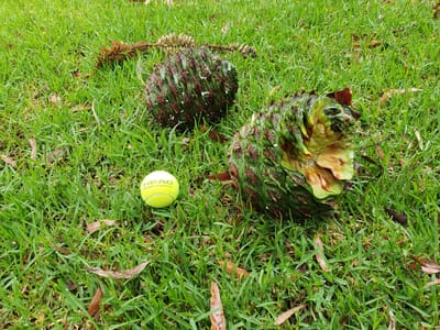 20220208_122129.jpg