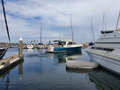 20220415_132928.jpg