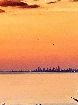 20220429_202539.jpg