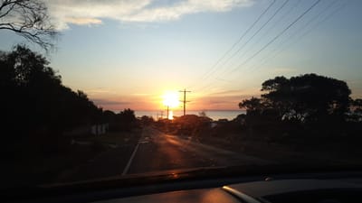IMG-20220416-WA0091.jpg