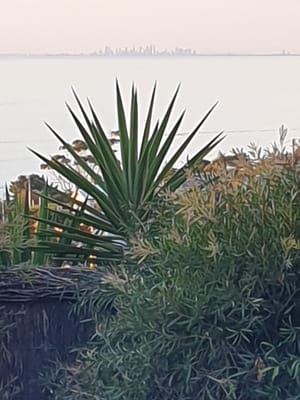 20220416_173107.jpg