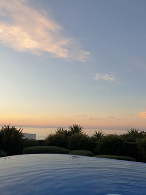 20220416_175108.jpg