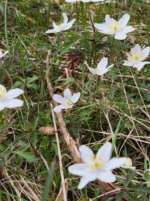 20220514_115141.jpg