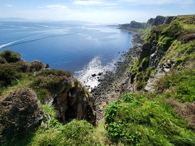 20220515_105351.jpg