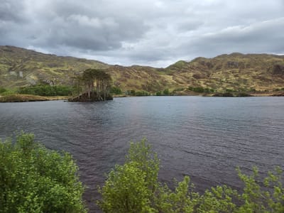 20220516_150213.jpg