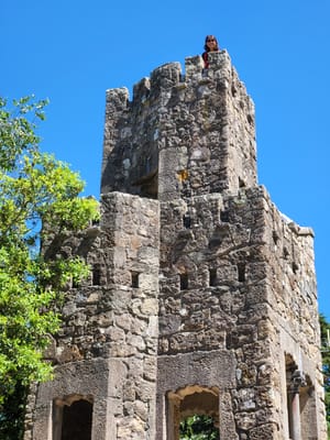 20220526_153104.jpg