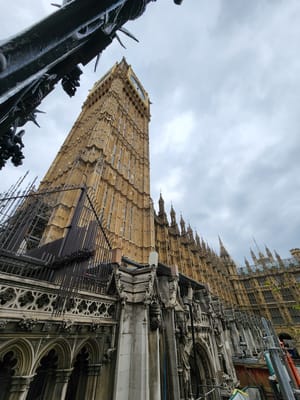 20220502_122916.jpg