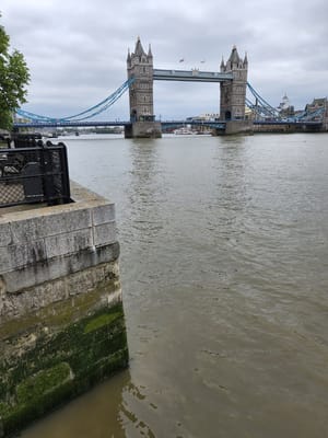 20220510_091003.jpg