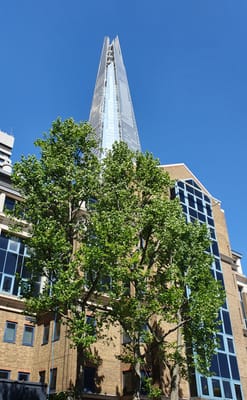 20220508_113044.jpg