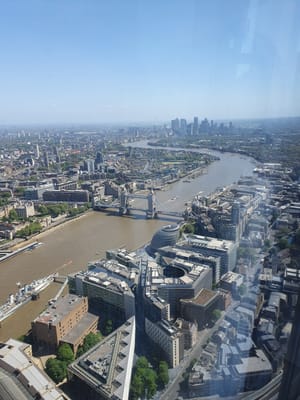 20220508_121438.jpg