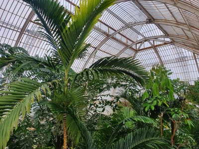 20220510_101435.jpg