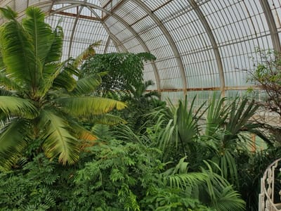 20220510_101510.jpg