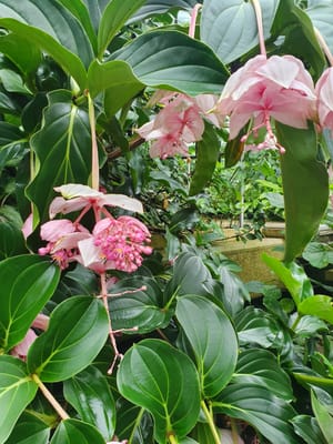 20220510_103148.jpg