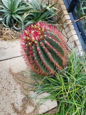20220510_103451.jpg