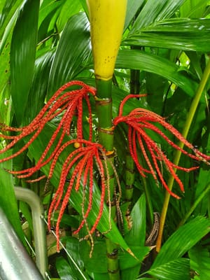 20220510_103724.jpg