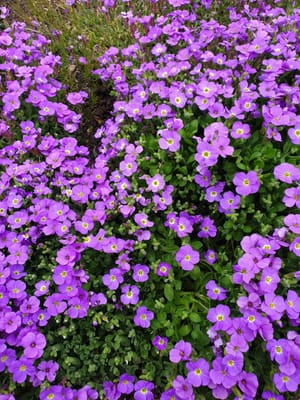 20220510_105315.jpg