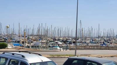 20220518_165253.jpg