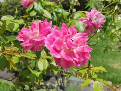 20220116_121513.jpg