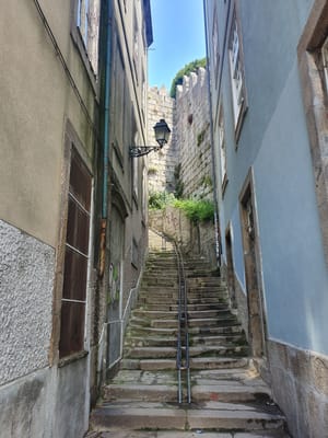 20220522_133504.jpg