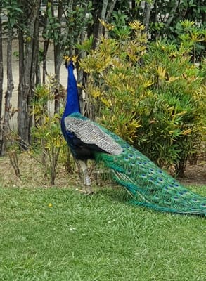 20220523_080848.jpg