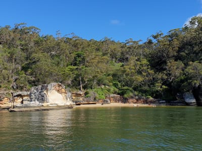 20220123_170926.jpg