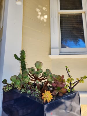 20220928_100340.jpg