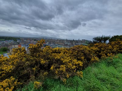 20220513_113749.jpg