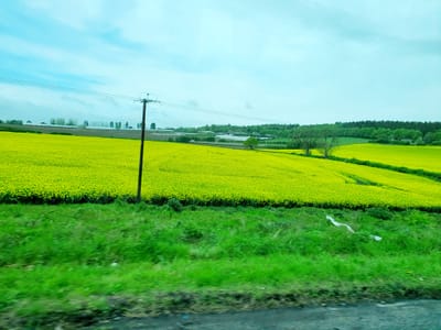20220514_105611.jpg