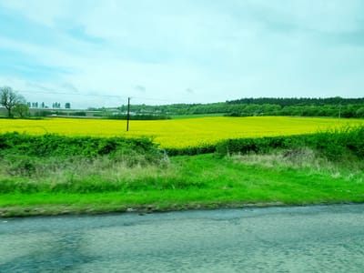 20220514_105626.jpg