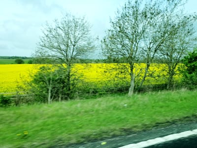 20220514_105640.jpg