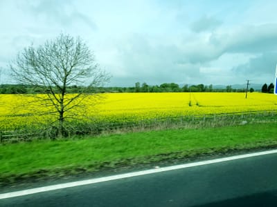 20220514_105654.jpg