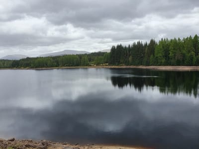 20220514_125603.jpg