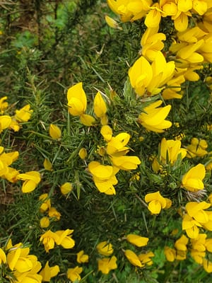 20220514_125709.jpg