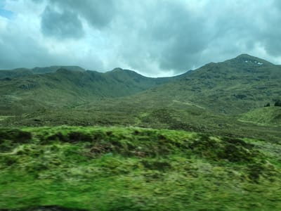 20220514_164136.jpg