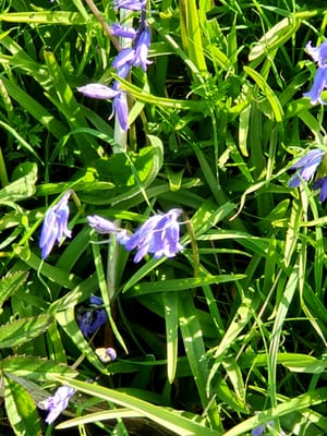 20220515_110237.jpg