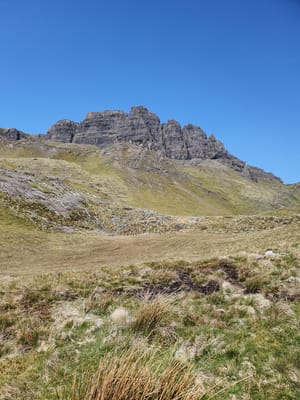 20220515_114517.jpg