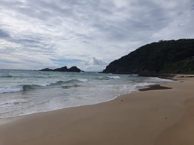 20220427_115906.jpg